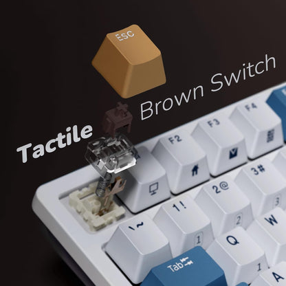 RK98 Wireless Mechanical Keyboard, 100 Keys 98% Layout with Custom Switches Hot Swappable, Tri-Mode BT5.1/2.4G/USB-C Full Size Gaming Keyboard with Numpad RGB, Brown Switch